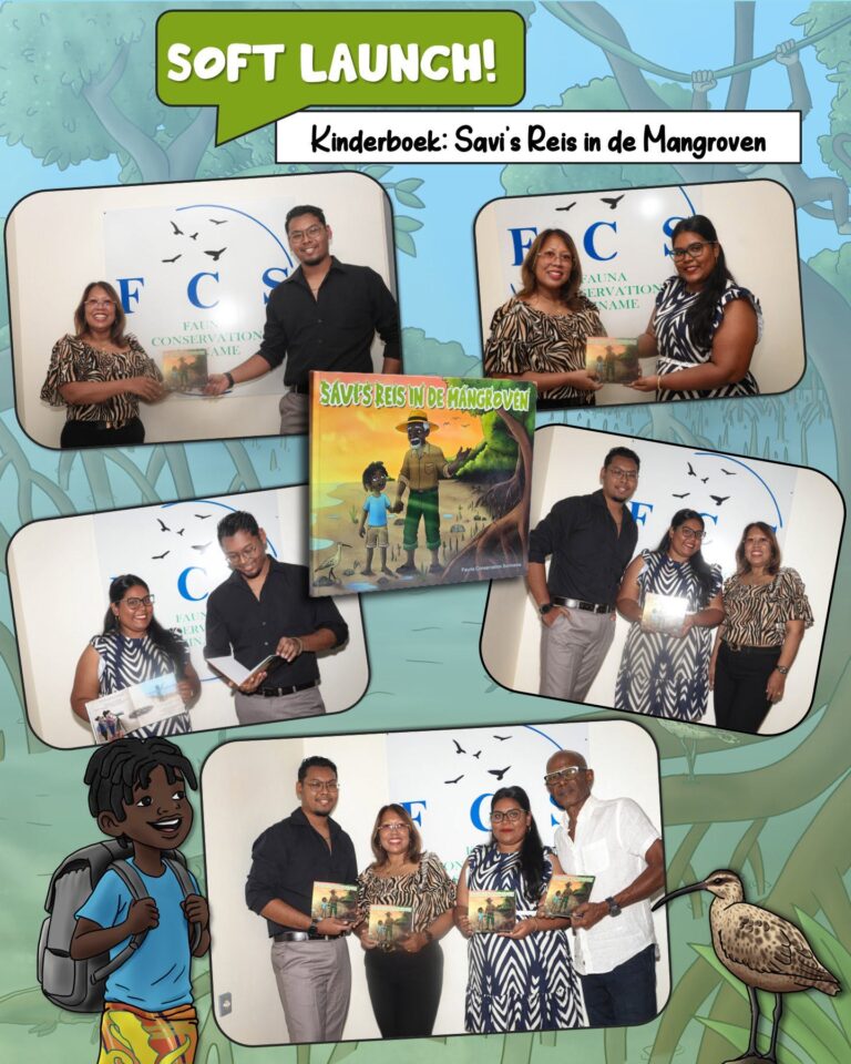 Kinderboek: Savi’s Reis in de Mangrovem